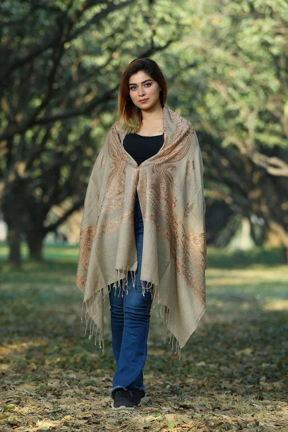 IMPARTIAL BEIGE COLOUR STOLE WITH CLASSY SWAROVSKI WORK AND EMBROIDERED DEFINES CALM AND ENHANCES SIMPLICITY