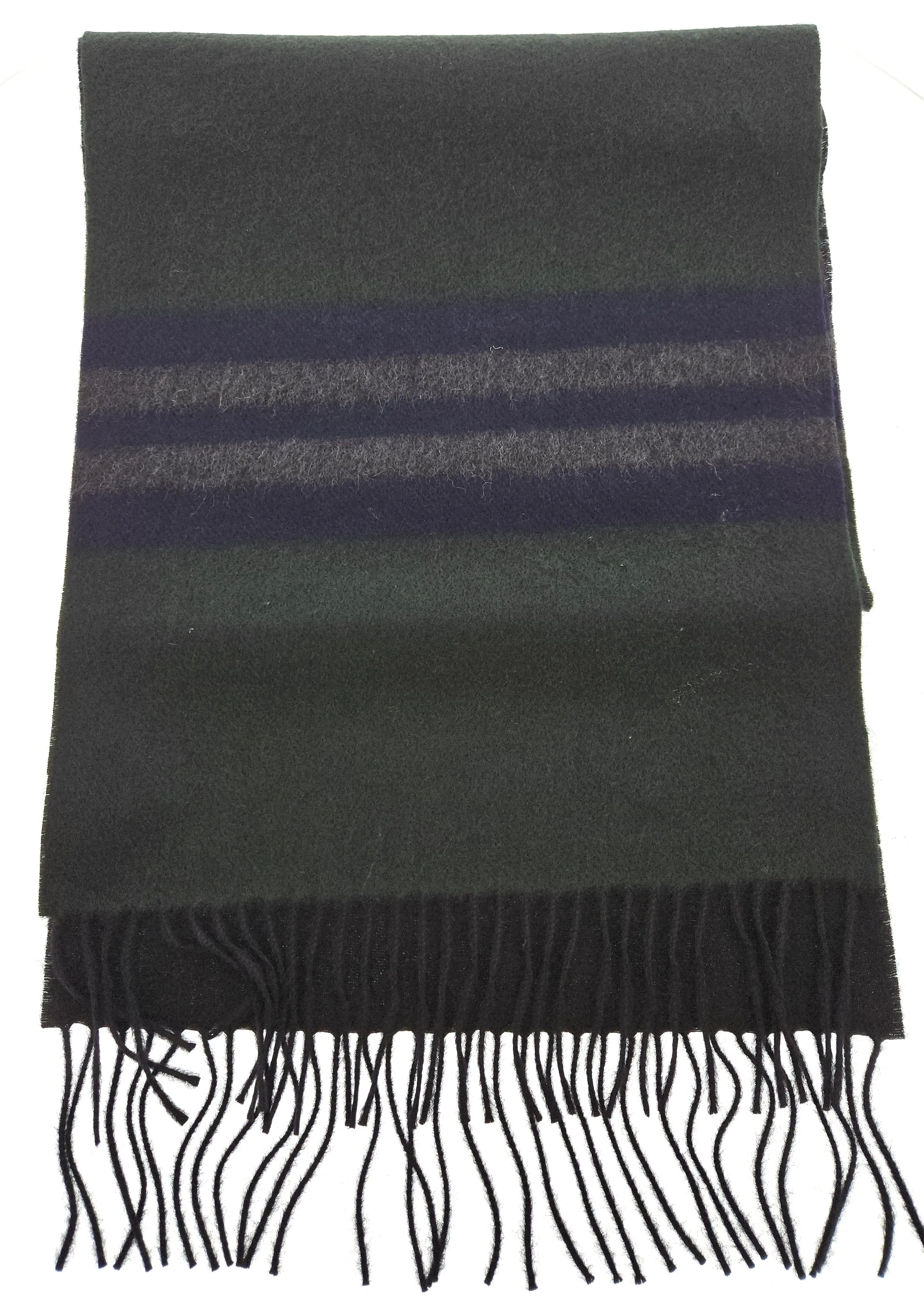 Lanvin Soft Luxurious Pure Cashmere Green Fringe Scarf